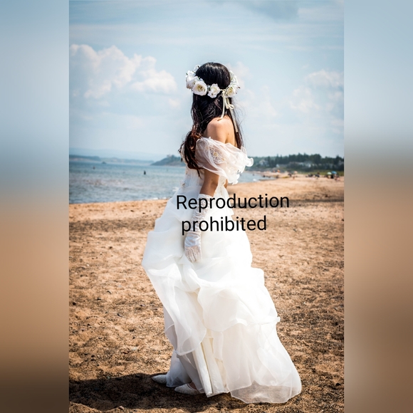 Wedding dress - Picture 3 of 9